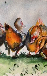 فروش و سفارش نقاشی