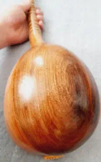 سه تار کاسه یک تیکه