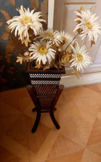 گل های شکیل با گلدان هاش ۶۰۰ تومان