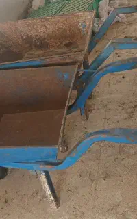 فرغون