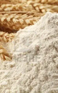 ارد گندم تحویل در محل