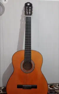 گیتار نو