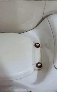 توالت فرنگی