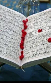 استخاره وفال