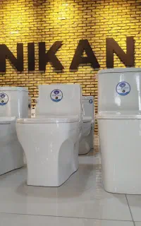 فروش انواع فرنگی و والهنگ