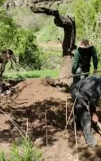 اکیپ باغ اسپار/سمپاشی/کود/درختکاری/آبیاری