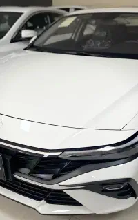 النترا نیم فول۲۰۲۵خشک