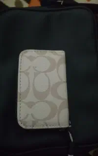 کیف پولی گمشده