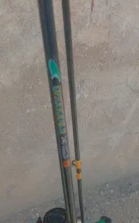 لنستر ماهی گسری