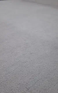 موکت پالاز