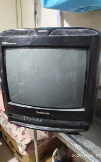 تلویزیون