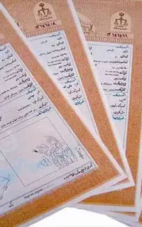 ضمانت زندانی کیفری و تعزیرات