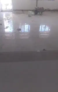 کاشیکار