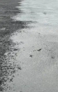 کف سازی با دستگاه اسکرید