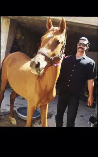 فروش کره مادیون دره شوری