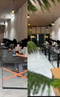 فروش تجاری جامی