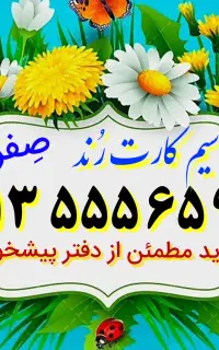 ۰۹۱۳.۵۵۵۶۵.۹۴