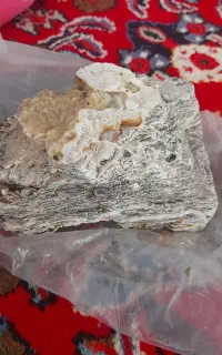 چندعددسنگ اکواریوم