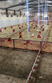 کارگر خانواده