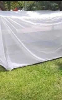 پشه بند