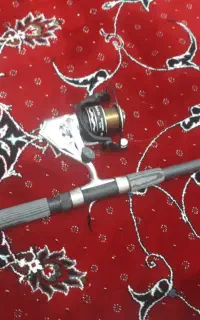چوب ماهیگیری