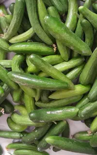 خیار مخلوط