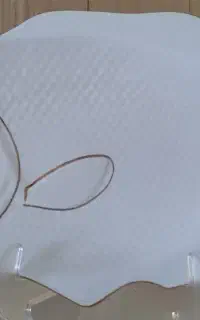 ظرف ماهی و سینی سیلور