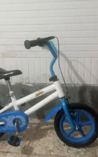 دوچرخه
