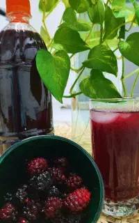 شربت