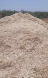 کاه گندم