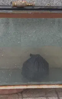 آکواریوم بزرگ سالم