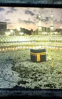 تابلو.قفس پرندها.دیوارکوب.گیره لباس