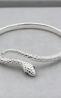 نقره سازی علیرضا