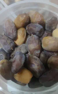 رطب کبکاب