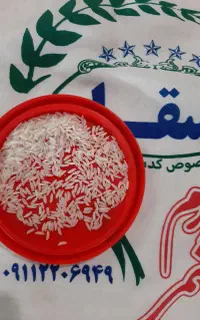 خرید و فروش  برنج   شمال