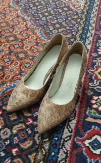 کفش مجلسی