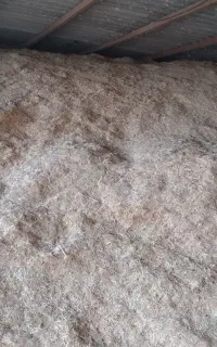 کاه گندم آبی