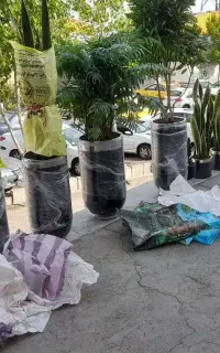 خدمات باغبانی وگل کاری در تمام نقاط تهران