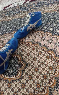 کفش اسیکس