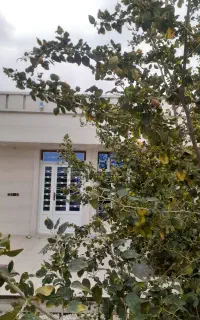 خونه مبله باغ مبله عالیشهرگورک اجاره روزانه