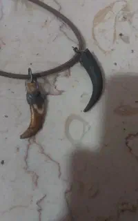 شاخ مار و دندان نیش پلنگ قدیمی