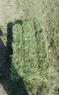 پرس یونجه درج یک و عالی