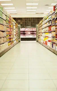 جواز کسب رایگان دولتی