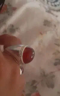 انگشتر نقره معاوضه با کفتر گراف