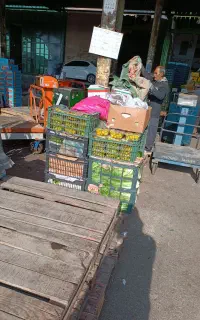 به یک نفره کارگر ساده در تره بار مرکزی نیازمندیم