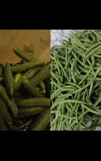 خیارشوری و لوبیا سبز و گوجه