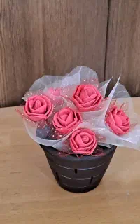 گلدان فقط ۱۰۰