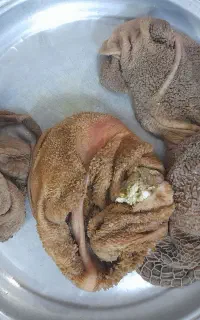 سیراب