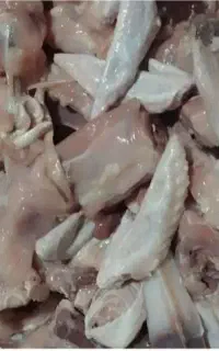 اشغال گوشت مرغ بدون پوست