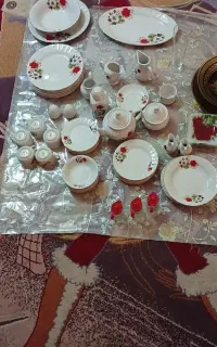 ظروف چینی